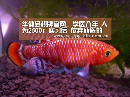 华体会棋牌