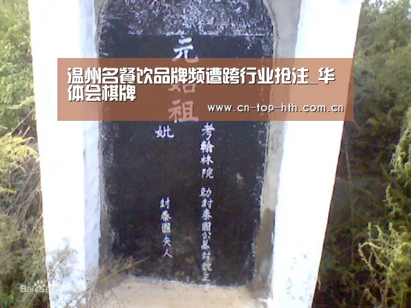 华体会app